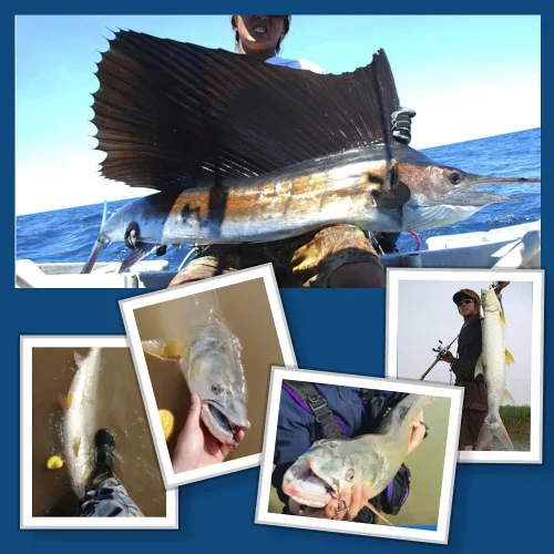 Miniatura 5 de 20 piezas de rodamientos de bolas giratorios aparejos de pesca a presión giratorios de pesca de barril de agua salada, clips de pesca, clips