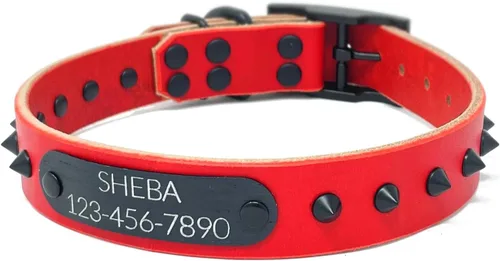 Miniatura 6 de Personalized Spiked Bridle Leather Dog Collar, Engraved Matte Black Metal Nameplate (Mustard Yellow)