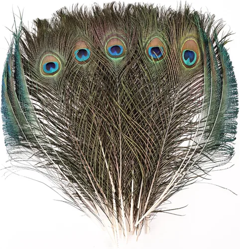 Miniatura 10 de iHUFeather 10 plumas naturales de ojo de pavo real de 10 a 12 pulgadas para arreglos florales, bodas, hogar y decoración de fiestas, natural