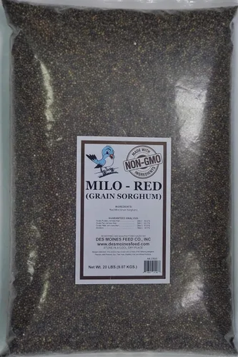 Miniatura 3 de Milo Rojo (Sorgmo de Grano) (8)