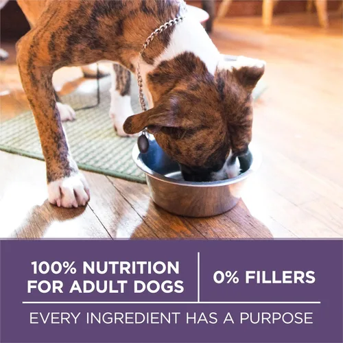 Miniatura 9 de Purina ONE Alimento seco para perros mayores con alto contenido de proteínas, fórmula de madurez vibrante para adultos 7 Plus, bolsa de 31.1 libras