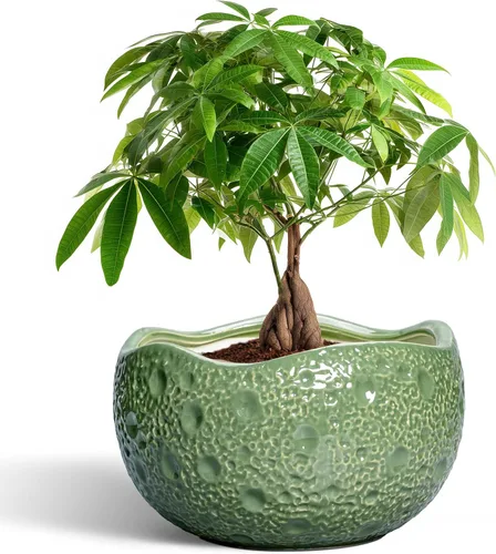 Miniatura 30 de Macetas de Cerámica Thirtypot - Maceta de 4 Pulgadas con Agujero de Drenaje, Macetas Pequeñas para Plantas de Interior y Exterior, Maceta Redonda