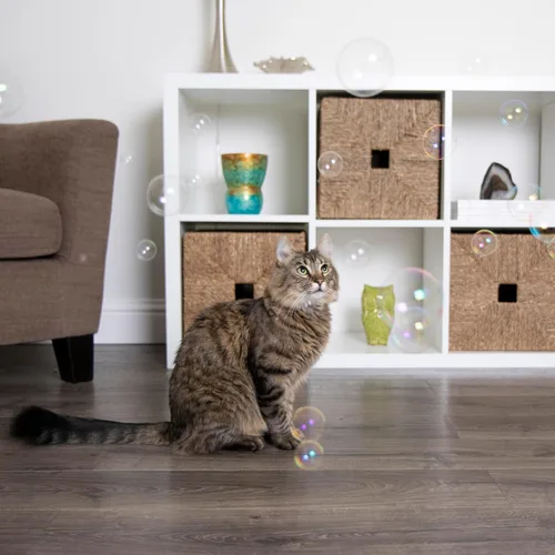 Miniatura 8 de SmartyKat Bubble Nip - Burbujas de hierba gatera para gatos y gatitos, seguras para mascotas, tamaño de prueba, 0.6 onzas líquidas