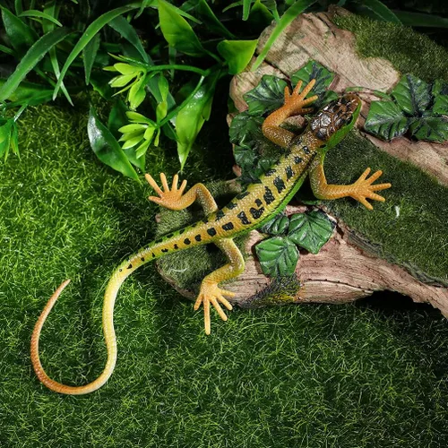 Miniatura 3 de NUOBESTY Figura de lagarto falso de juguete de plástico de lagarto figura de acción de reptil juguete para colección ciencia educativo (verde)