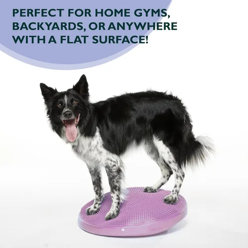 Miniatura 6 de FitPaws® Disco de equilibrio para perros, 22 pulgadas, Razzleberry Equipo de ejercicio para perros Herramienta de entrenamiento para fuerza