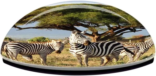 Miniatura 3 de Kenia Masai Mara Zebras Safari Frigorífico Imán 3D Cristal Turístico Ciudad Viaje Recuerdo Colección Regalo Fuerte Etiqueta Adhesiva Refrigerador