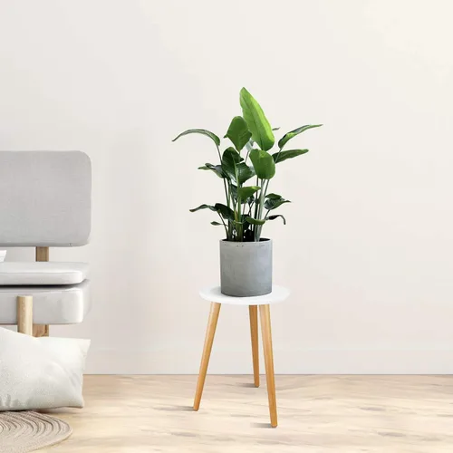 Miniatura 7 de Uneedem - Soporte para plantas de interior, mesa moderna de madera de mediados de siglo para plantas de interior, 8.9 pulgadas de alto para macetas