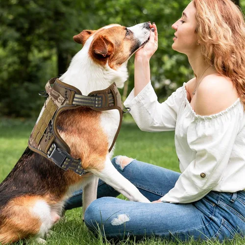 Miniatura 4 de Reflective Dog Harness – Adjustable No-Pull Collar, Comfortable Breathable Material, Sturdy Durablee Structure, Quick-Release Clip Lightweight