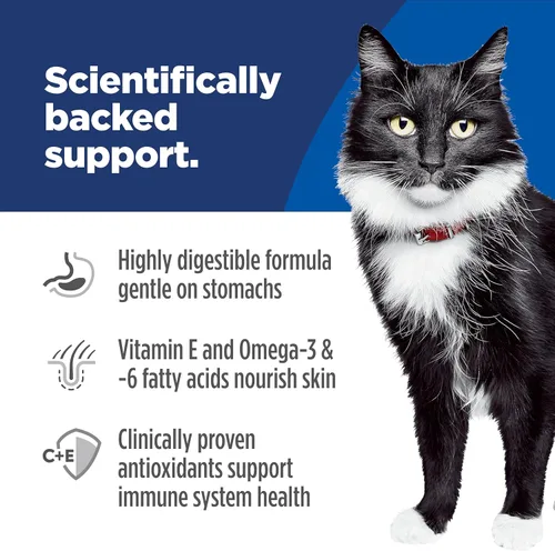 Miniatura 4 de Hill's Science Diet Estómago y piel sensibles, adultos de 1 a 6 años, soporte de sensibilidad estomacal y de la piel, alimento seco para gatos