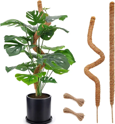 Miniatura 13 de Poste de musgo de 48 pulgadas, poste de musgo flexible para plantas Monstera, postes de musgo altos para plantas trepadoras de interiores, soporte