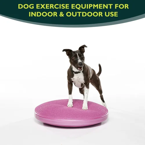 Miniatura 2 de FitPaws® Disco de equilibrio para perros, 22 pulgadas, Razzleberry Equipo de ejercicio para perros Herramienta de entrenamiento para fuerza