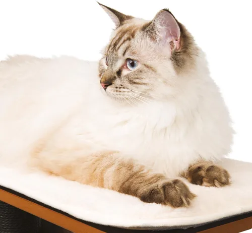 Miniatura 3 de Árbol para gatos Vesper, base alta, negro, 52046
