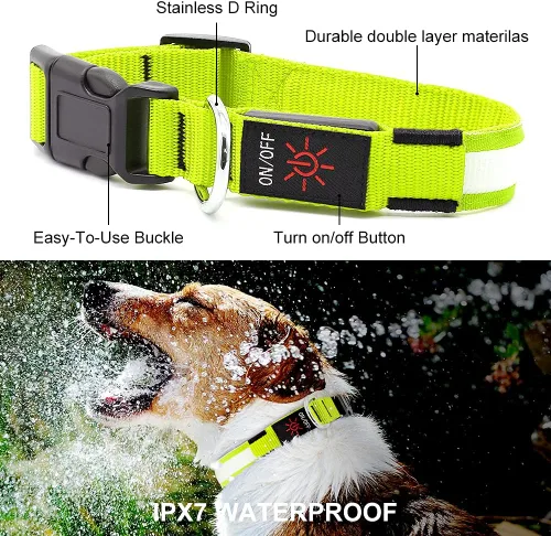 Miniatura 3 de YFbrite Collar de perro LED ajustable ultraligero, collares de perro con luz recargable que brilla en la oscuridad, collares de visibilidad y Verde