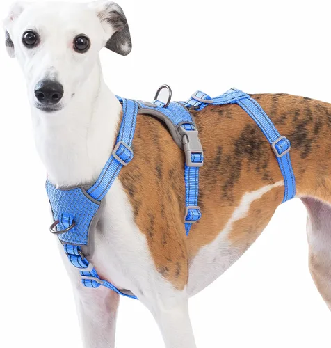 Miniatura 11 de Huntboo Arnés para perro a prueba de escapes, sin tirones, antideslizante, totalmente reflectante, diseño ajustable de 7 puntos para perros