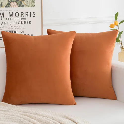 Miniatura 14 de Juego de 2 fundas de almohada decorativas de terciopelo, funda de cojín cuadrada suave para decoración del hogar para sala de estar, sofá o cama