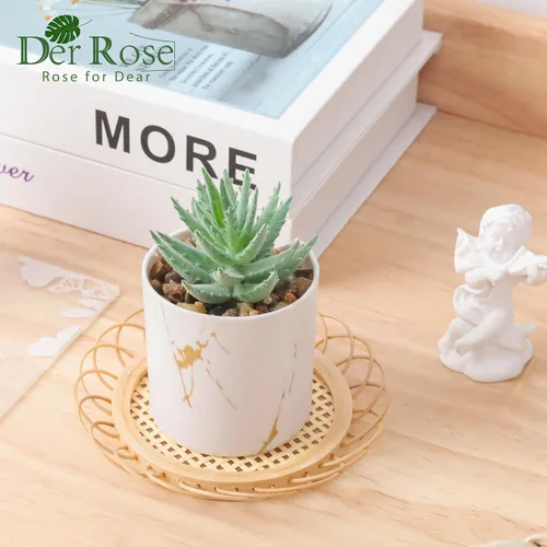 Miniatura 3 de Der Rose Juego de 2 plantas suculentas artificiales Mini plantas suculentas falsas para accesorios de oficina y hogar para mujeres 2-Verde