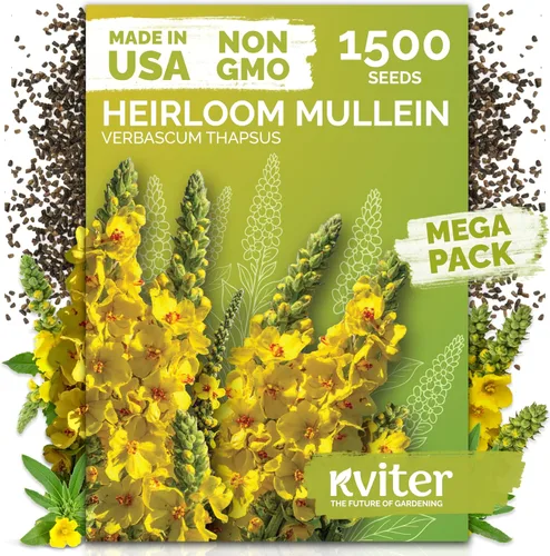 Miniatura 19 de KVITER 1000 semillas de quinua de cordero (Chenopodium Album) - Hierbas comestibles autóctonas, ideales para jardines de hierbas orgánicas