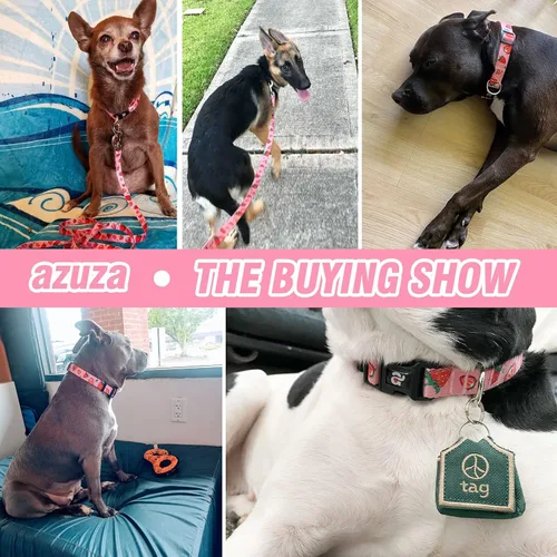 Miniatura 6 de azuza Juego de collar y correa para perro, collar de nailon y correa a juego para perros pequeños, fresa