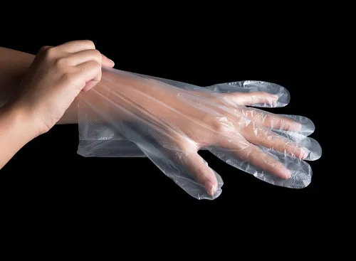 Miniatura 3 de KingSeal 500 guantes desechables de polietileno ligeros, sin polvo, sin látex, seguros para alimentos, tamaño grande, 1 caja de 500 guantes