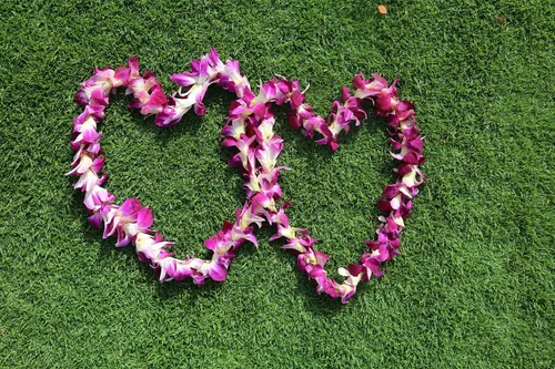 Miniatura 7 de Miami Fresh Orchid Flower OrchidClub USA Sunne Tropical Loose Bloom DIY Lei Food Drink Decoración (50 morado)