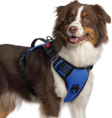 Miniatura 28 de rabbitgoo Arnés para perro de tamaño pequeño, arnés para mascotas sin tirones con mango acolchado suave, chaleco reflectante ajustable con 3
