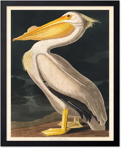 Miniatura 97 de Poster Master Vintage James Audubon Póster - Impresión Retro de Cuervo - Arte de Aves de América - Arte de Aves - Regalo para Hombres, Mujeres