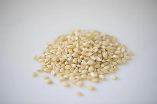 Miniatura 3 de Amish Country Popcorn Bolsa de 2 libras Granos de palomitas de maíz Baby White Pequeños y tiernos A la antigua, sin OMG y sin gluten