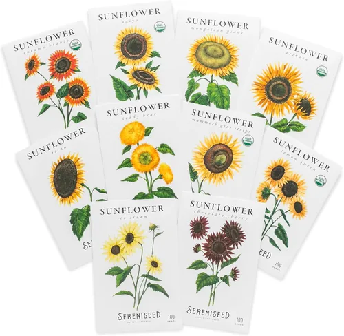 Sereniseed Colección de semillas de girasol (paquete de 10) – 100% sin OMG, de polinización abierta – Guía de cultivo