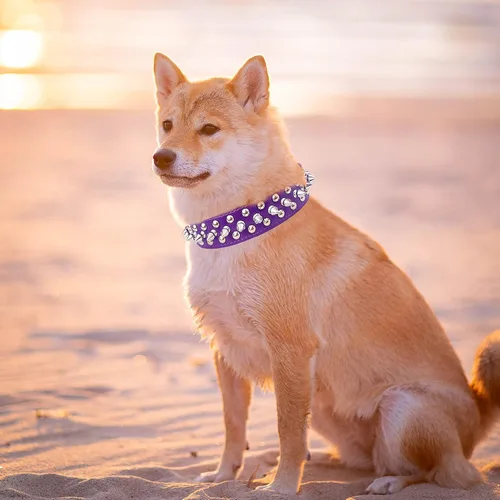 Miniatura 5 de TEEMERRYCA - Collares ajustables de piel sintética con tachuelas para perros, con pelota chillona de regalo, para mascotas pequeñas, medianas