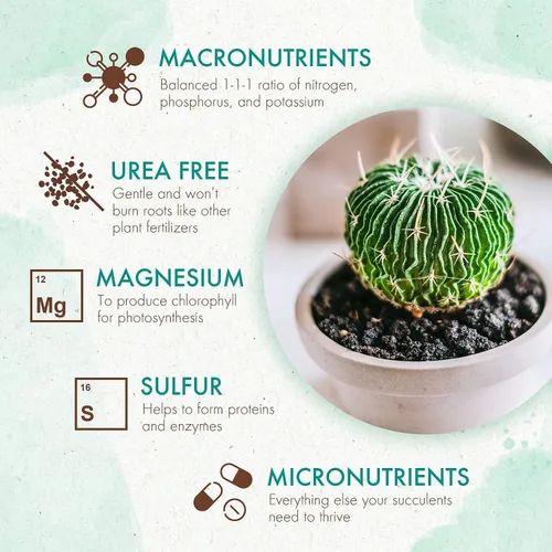Miniatura 4 de The Grow Co Alimento para plantas de suculentas y cactus, fórmula suave de larga duración, fertilizante de liberación lenta (alternativa líquida)