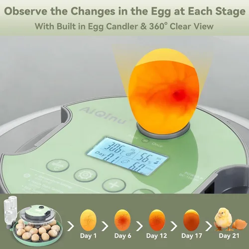 Miniatura 6 de Incubadora de 18 huevos con giro automático de huevos, unidad de eclosión con control digital y vela integrada, bandeja de huevos de 2 tamaños