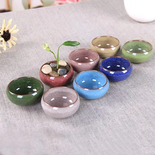 Miniatura 7 de Macetero para suculentas, 12 piezas de cerámica de 2.5 pulgadas, para plantas de cactus, maceta, maceta, contenedor/maceta