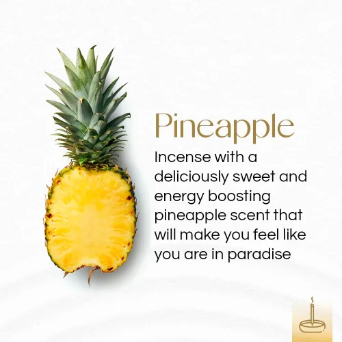 Miniatura 2 de Gonesh - Varillas de incienso aromáticas extraricas Euphoria - Varillas aromáticas de combustión lenta no tóxicas de 10 pulgadas - Piña - 20 varillas