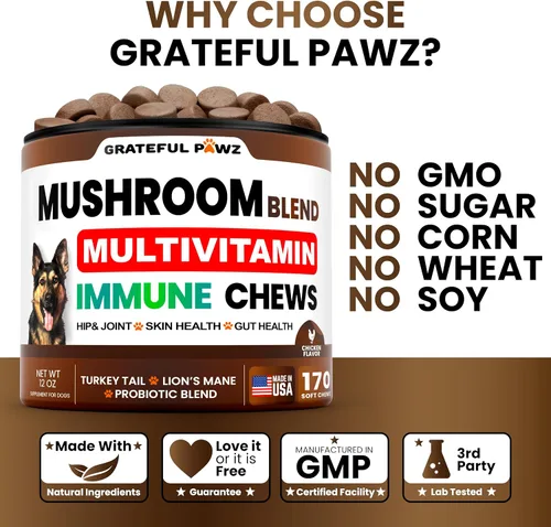 Miniatura 4 de Suplemento de hongo de cola de pavo para perros, 170 masticables, hongos para perros, Reishi, melena de león, multivitamínico de glucosamina