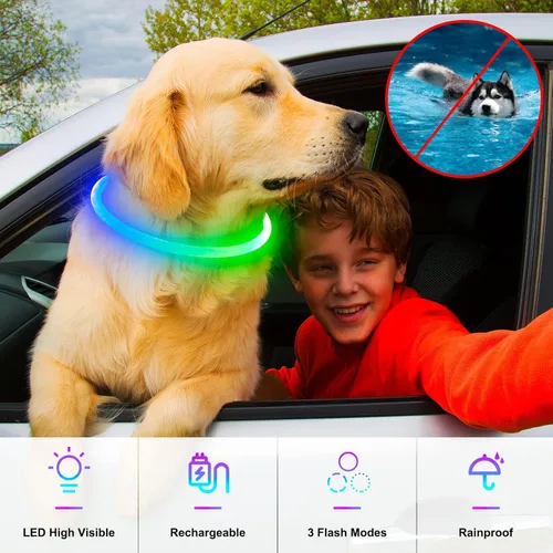 Miniatura 2 de Collares de perro iluminados, collar de perro Dlitk LED recargable por USB, 1 unidad, collar brillante de poliuretano termoplástico para perros