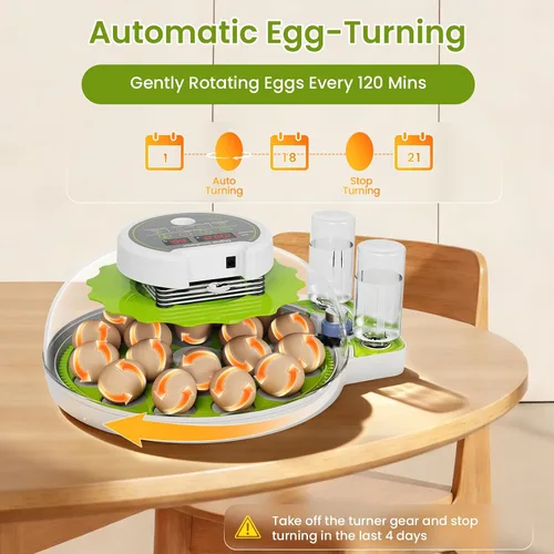 Miniatura 5 de Incubadora de 18 huevos con giro automático de huevos y control de humedad, vista panorámica HD, vela integrada para incubar pollo, pato, granjas