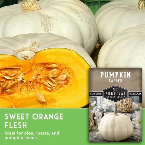 Miniatura 6 de Survival Garden Seeds - Semillas pequeñas de calabaza de azúcar para plantar - 1 paquete con instrucciones para cultivar calabazas de pastel