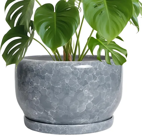 Miniatura 10 de SQOWL Macetas de cerámica – Maceta de 6 pulgadas con orificio de drenaje y bandeja, maceta redonda para plantas de interior, maceta decorativa
