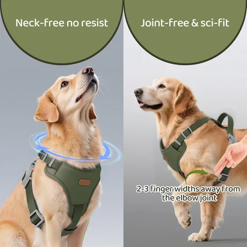 Miniatura 4 de Xlife Arnés para perros y gatos pequeños, arnés de chaleco ajustable sin tirones con hebilla de seguridad y anillo en D sin asfixia, fácil de poner