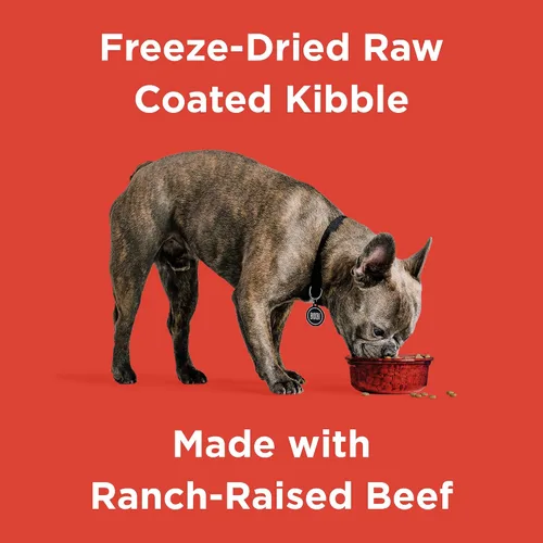 Miniatura 2 de Comida seca para perros BIXBI Rawbble, de ternera, 1.8 kg - Fabricado en EE. UU. sin comidas de carne ni rellenos - Comida cruda para perros