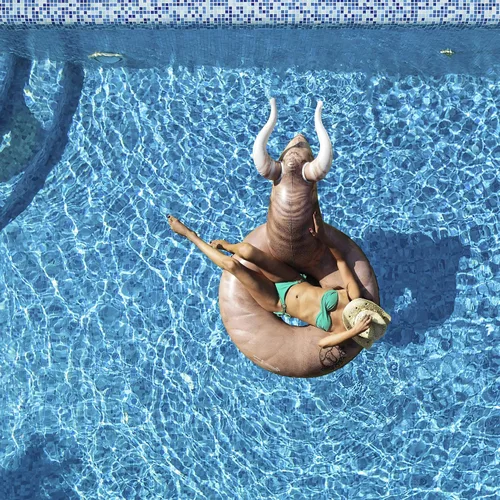 Miniatura 2 de GoFloats Inflatable Pool Floats