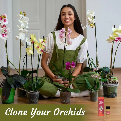 Miniatura 2 de Miracle Lab Pasta de clonación Keiki, fórmula especial de citoquinina que da una nueva orquídea bebé (Keiki) en semanas, se puede utilizar en todo