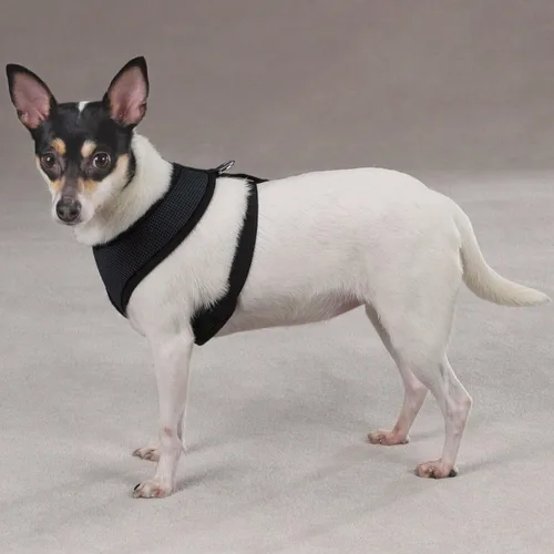Miniatura 2 de Casual Canine Arnés de malla para perro, talla XS, negro