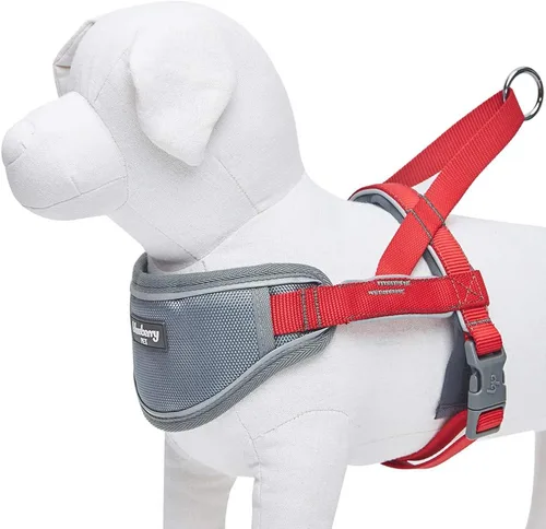 Miniatura 3 de Blueberry Pet Arnés acolchado para perro, 8 colores, suave y cómodo, tiras reflectantes 3M, contorno de pecho de 30 a 38.5 pulgadas, rojo, grande
