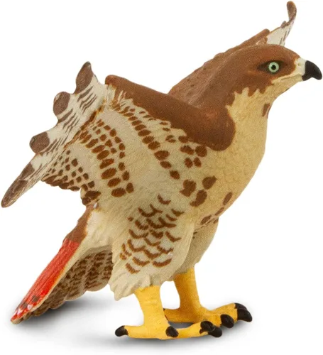 Miniatura 5 de Safari Ltd. Figura de halcón de cola roja, figura detallada de plástico de 5.75 pulgadas con envergadura, divertido juguete educativo para niños