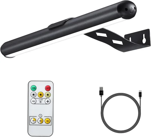 Luces de imagen recargables con control remoto, luz LED de pintura a pilas, regulable/temporizador apagado, 13 pulgadas de metal completo para