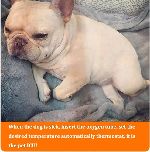 Miniatura 8 de Caja de incubadora de perros, caja de incubadora de mascotas con lámpara de calor y temperatura ajustable, caja de cría de cachorros recién nacidos
