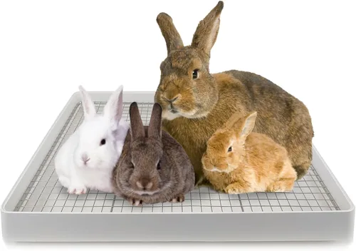Miniatura 8 de Oncpcare Caja de arena de conejillo de indias de 15 x 12 pulgadas con rejilla, bandeja de arena para animales pequeños para jaula, bandeja de baño