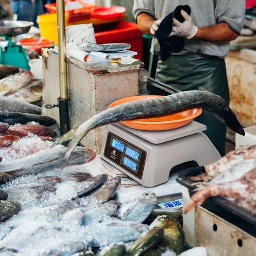 Miniatura 8 de Báscula comercial impermeable para alimentos de 66 libras con cálculo de precios, báscula digital recargable para carne, mariscos, productos