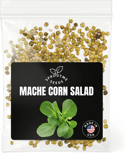 Miniatura 9 de Semillas de romero – Más de 100 personas sin OMG herencia cultivadas en Estados Unidos – Hierba culinaria aromática y hoja perenne fragante, apta